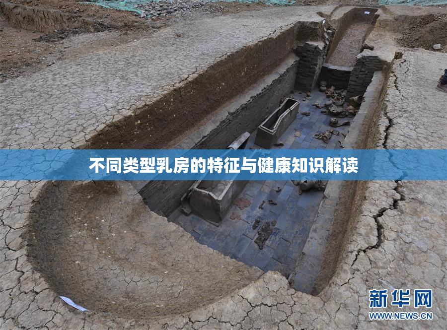 不同类型乳房的特征与健康知识解读
