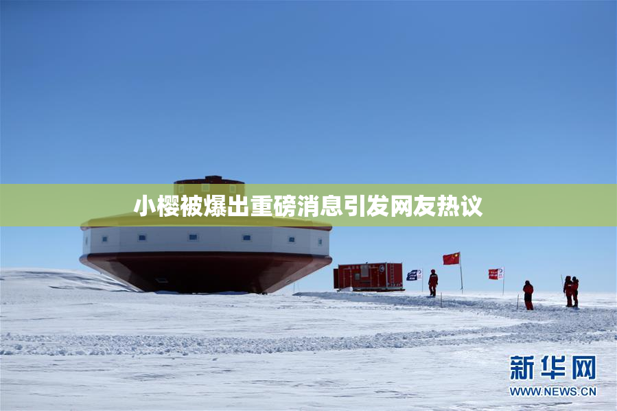 小樱被爆出重磅消息引发网友热议