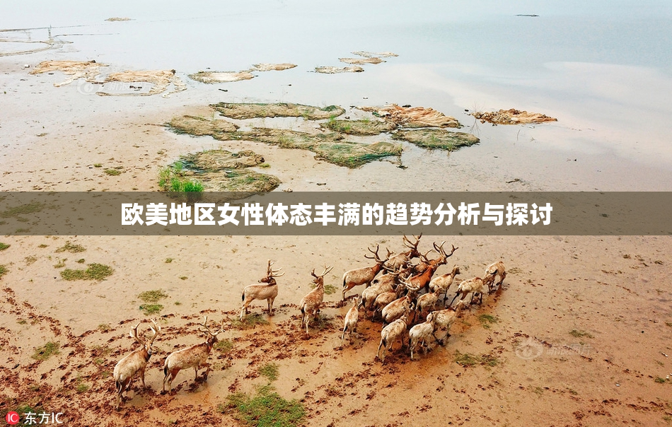 欧美地区女性体态丰满的趋势分析与探讨