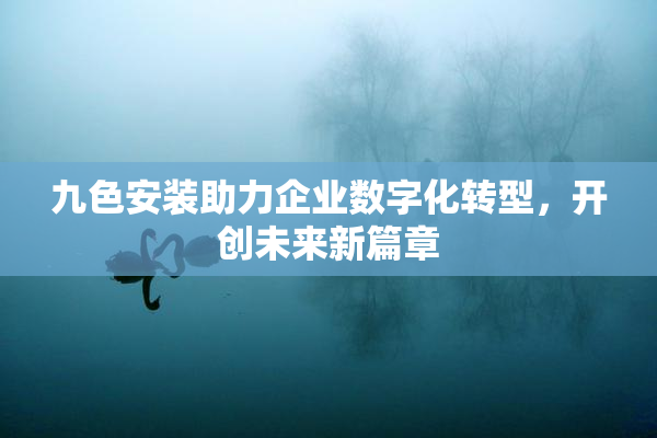 九色安装助力企业数字化转型，开创未来新篇章
