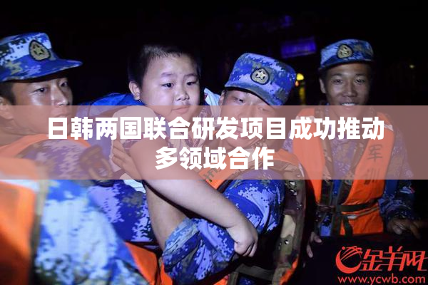 日韩两国联合研发项目成功推动多领域合作