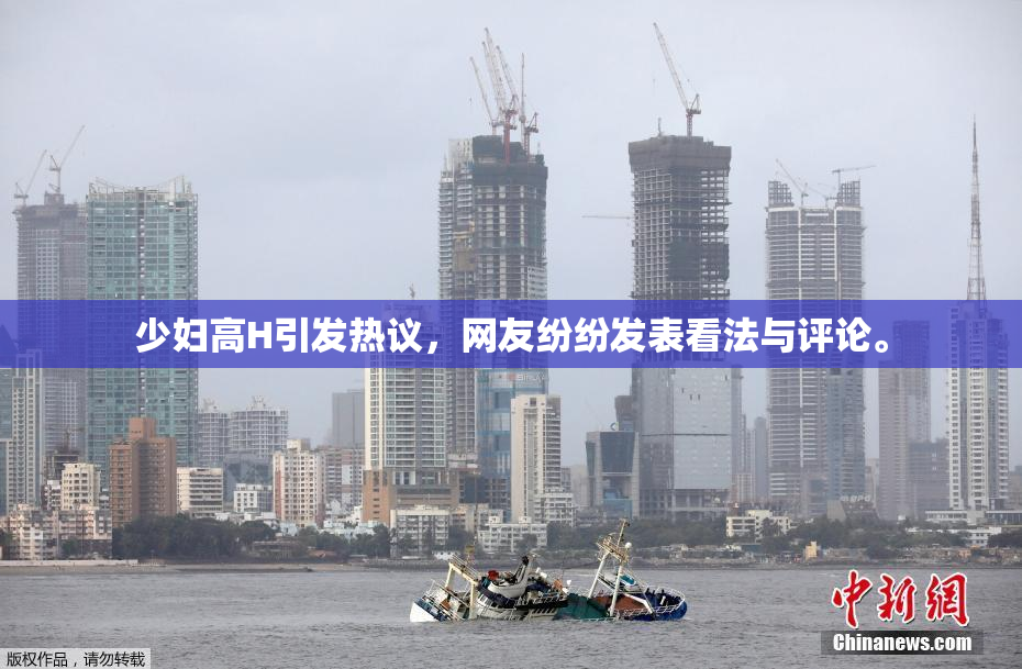 少妇高H引发热议，网友纷纷发表看法与评论。