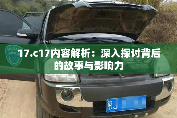 17.c17内容解析：深入探讨背后的故事与影响力