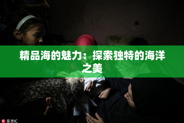 精品海的魅力：探索独特的海洋之美