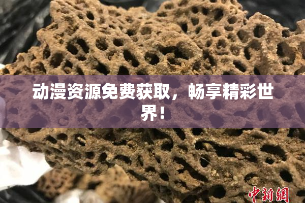 动漫资源免费获取，畅享精彩世界！