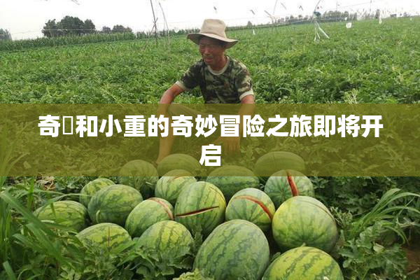 奇犽和小重的奇妙冒险之旅即将开启