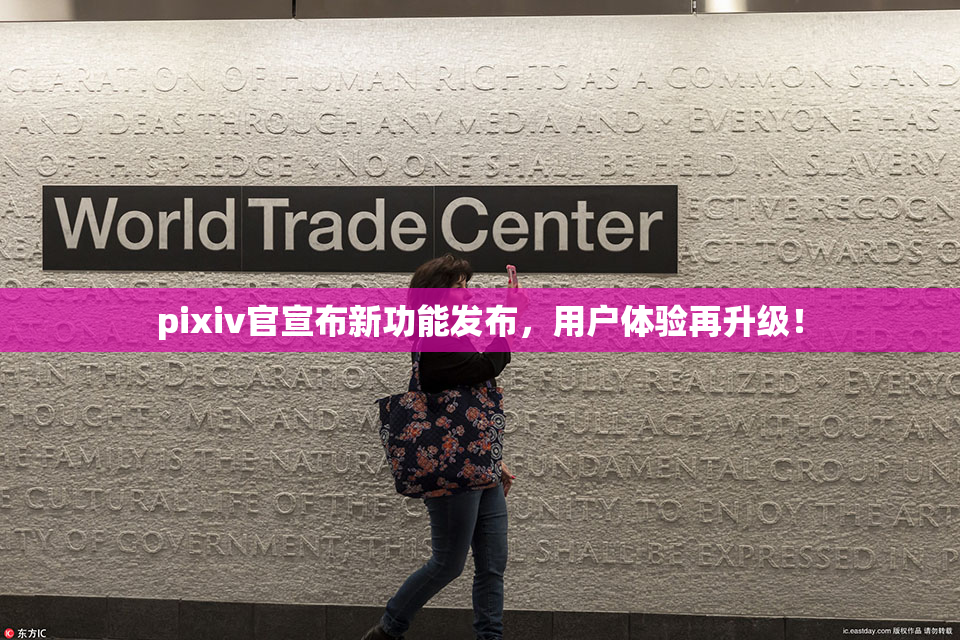 pixiv官宣布新功能发布，用户体验再升级！