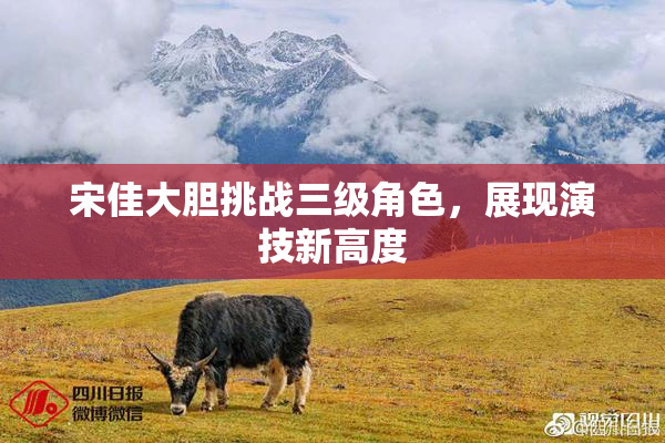宋佳大胆挑战三级角色，展现演技新高度