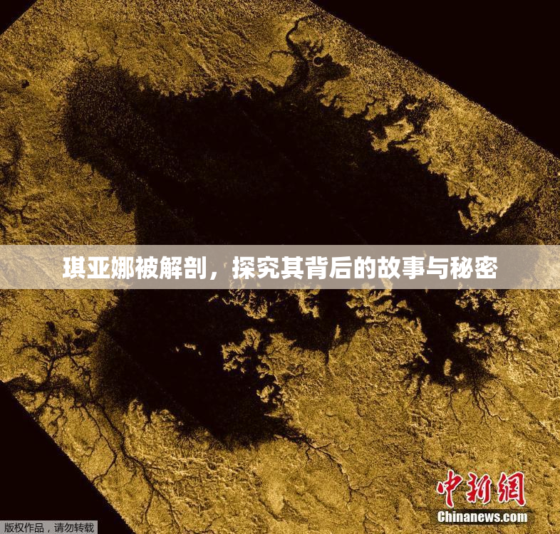 琪亚娜被解剖，探究其背后的故事与秘密