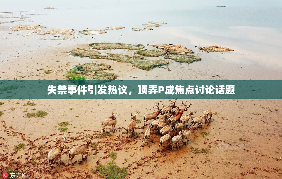 失禁事件引发热议，顶弄P成焦点讨论话题