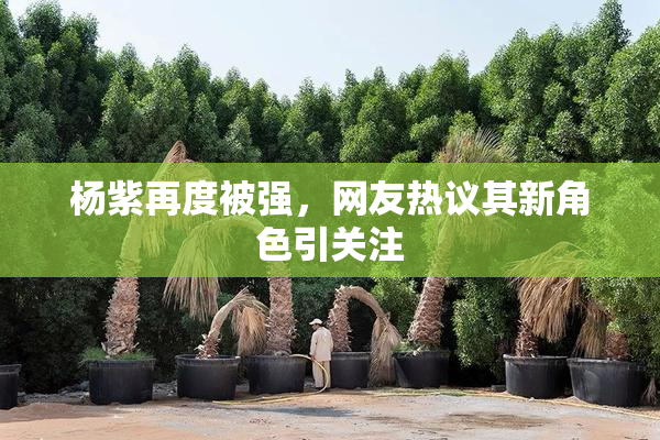 杨紫再度被强，网友热议其新角色引关注