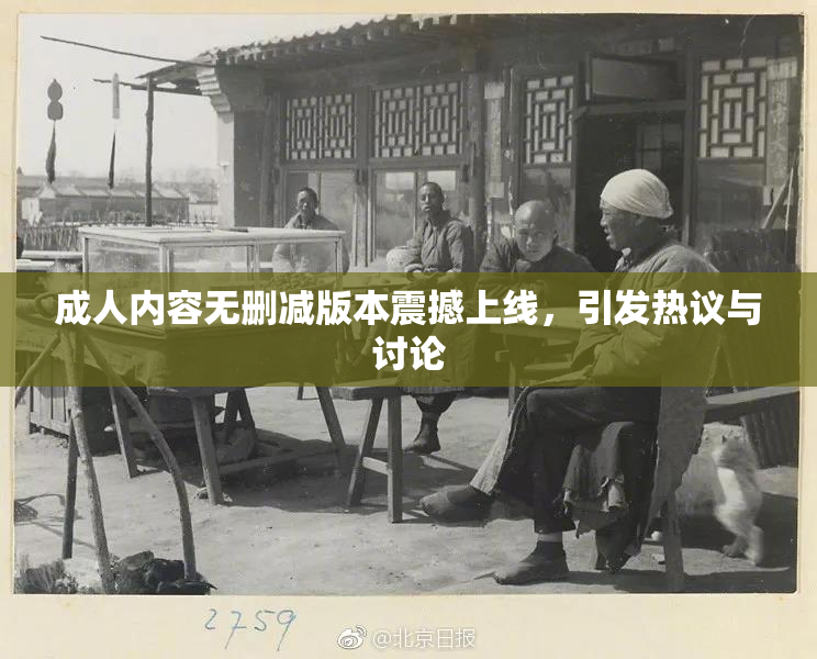 成人内容无删减版本震撼上线，引发热议与讨论