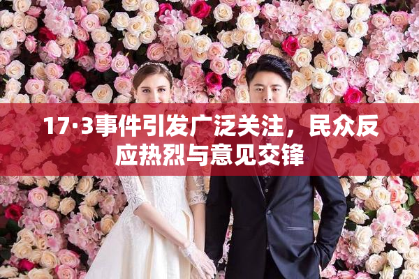 17·3事件引发广泛关注，民众反应热烈与意见交锋