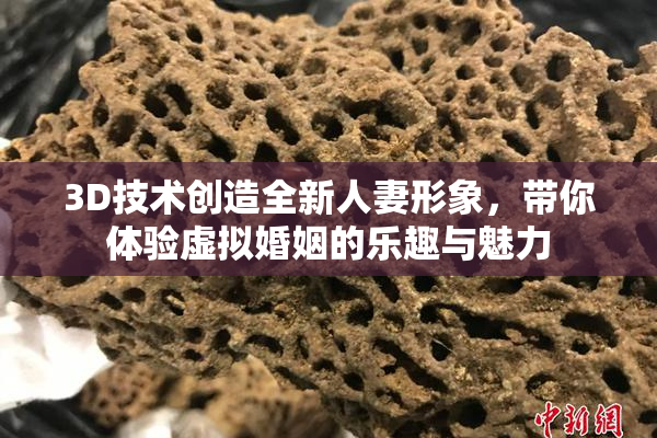 3D技术创造全新人妻形象，带你体验虚拟婚姻的乐趣与魅力