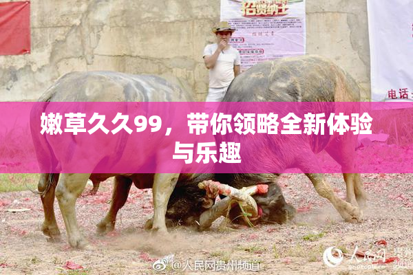 嫩草久久99，带你领略全新体验与乐趣