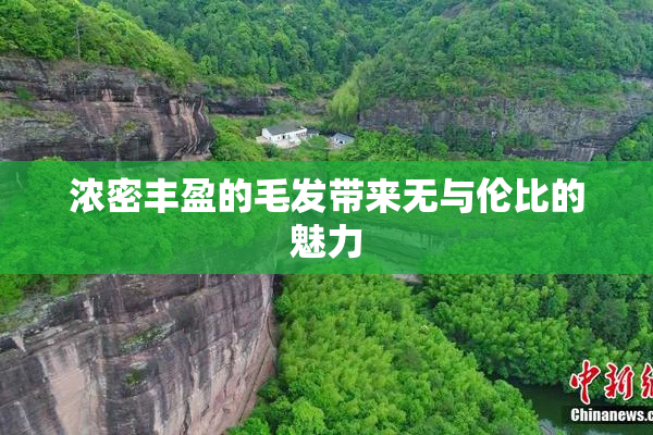 浓密丰盈的毛发带来无与伦比的魅力