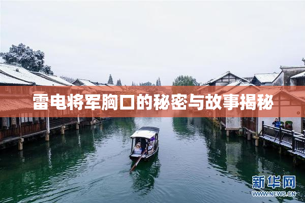 雷电将军胸口的秘密与故事揭秘