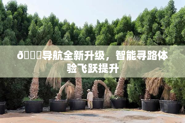 🍓导航全新升级，智能寻路体验飞跃提升