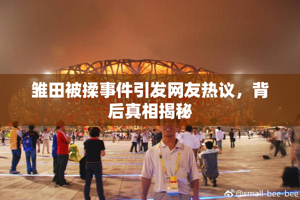 雏田被揉事件引发网友热议，背后真相揭秘