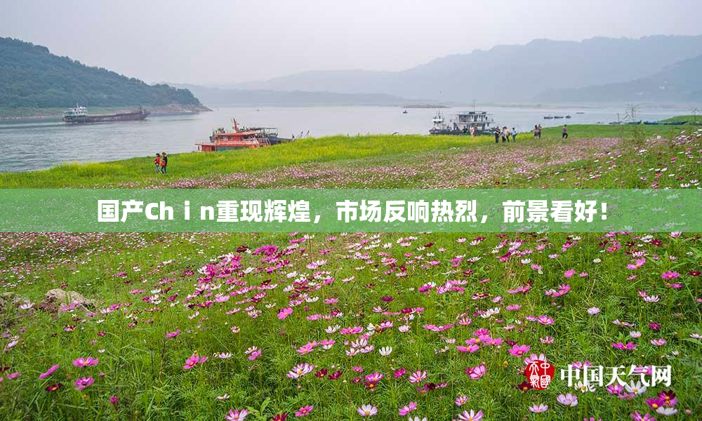 国产Chⅰn重现辉煌，市场反响热烈，前景看好！