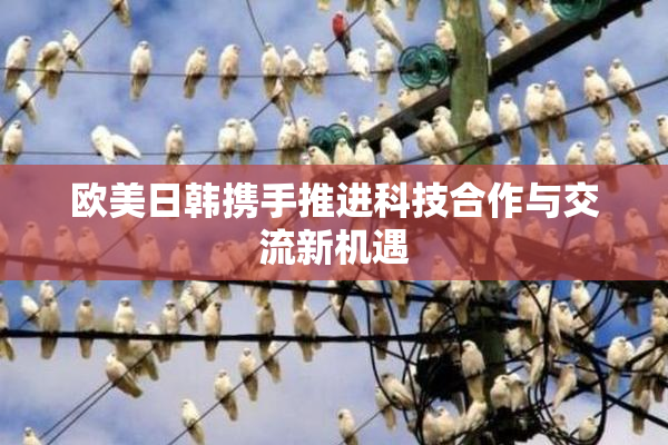 欧美日韩携手推进科技合作与交流新机遇