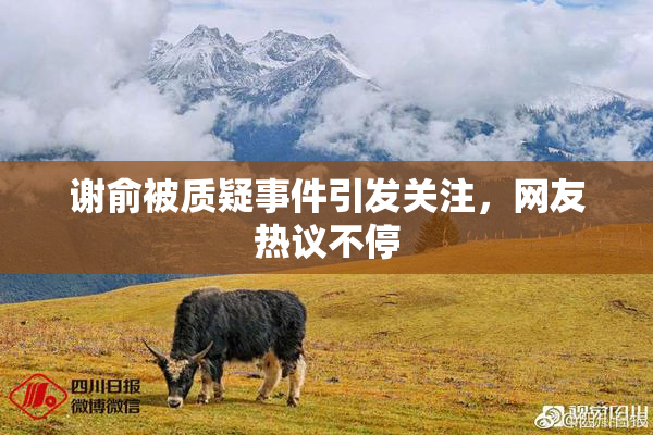 谢俞被质疑事件引发关注，网友热议不停