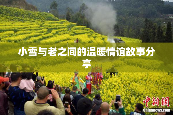 小雪与老之间的温暖情谊故事分享