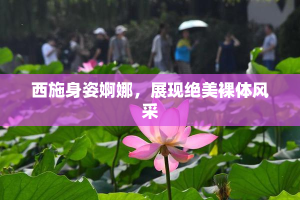 西施身姿婀娜，展现绝美裸体风采