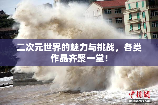 二次元世界的魅力与挑战，各类作品齐聚一堂！