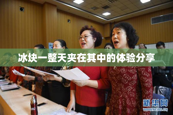 冰块一整天夹在其中的体验分享