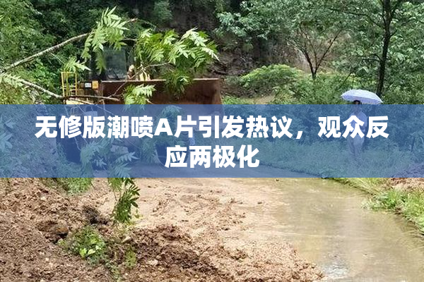 无修版潮喷A片引发热议，观众反应两极化