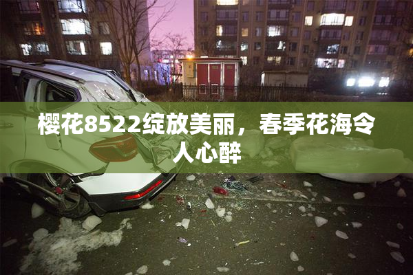 樱花8522绽放美丽，春季花海令人心醉