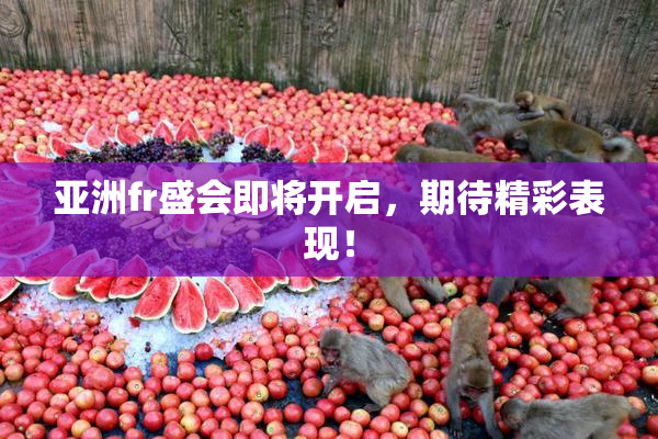 亚洲fr盛会即将开启，期待精彩表现！