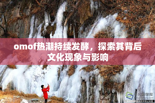 omof热潮持续发酵，探索其背后文化现象与影响