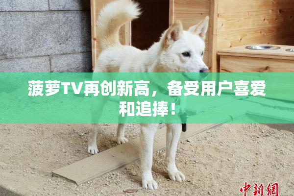 菠萝TV再创新高，备受用户喜爱和追捧！