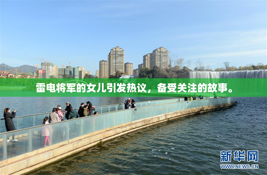 雷电将军的女儿引发热议，备受关注的故事。