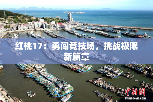红桃17：勇闯竞技场，挑战极限新篇章
