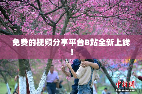 免费的视频分享平台B站全新上线！