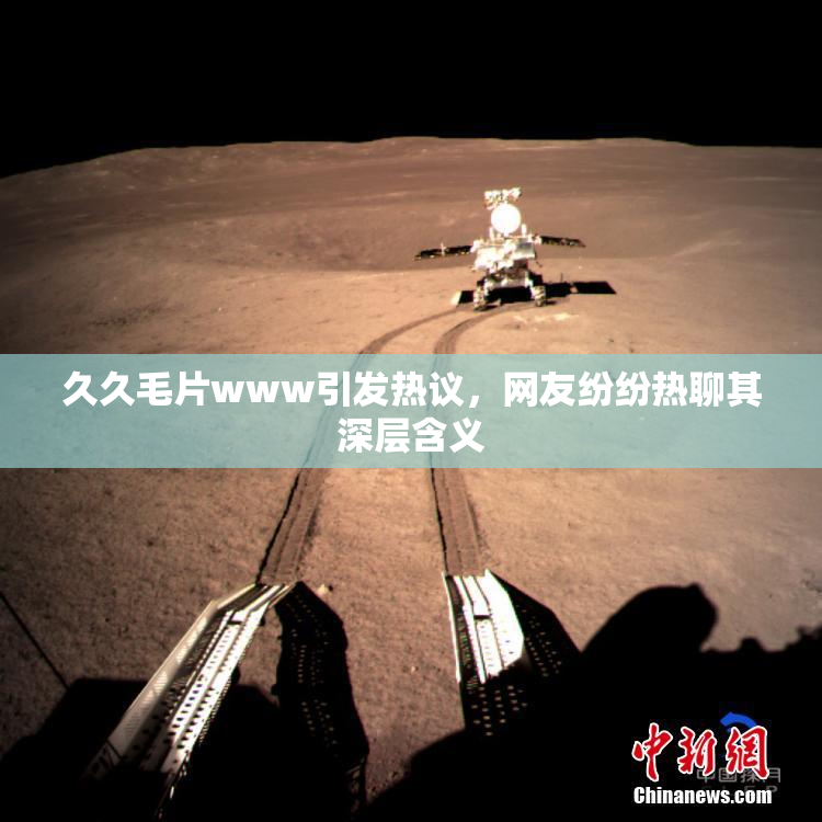 久久毛片www引发热议，网友纷纷热聊其深层含义