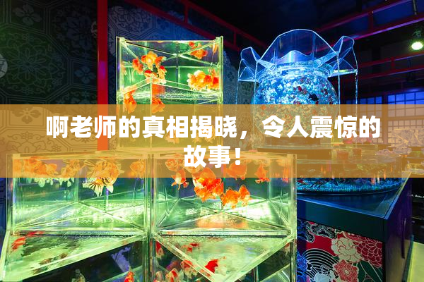啊老师的真相揭晓，令人震惊的故事！