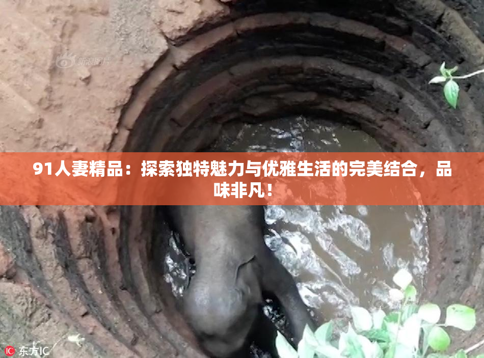 91人妻精品：探索独特魅力与优雅生活的完美结合，品味非凡！