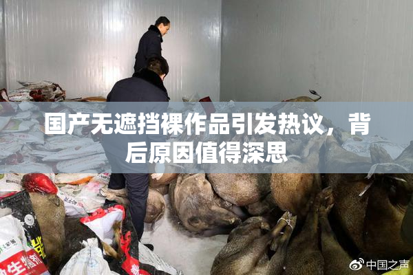 国产无遮挡裸作品引发热议，背后原因值得深思