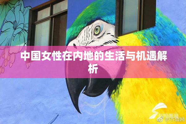 中国女性在内地的生活与机遇解析