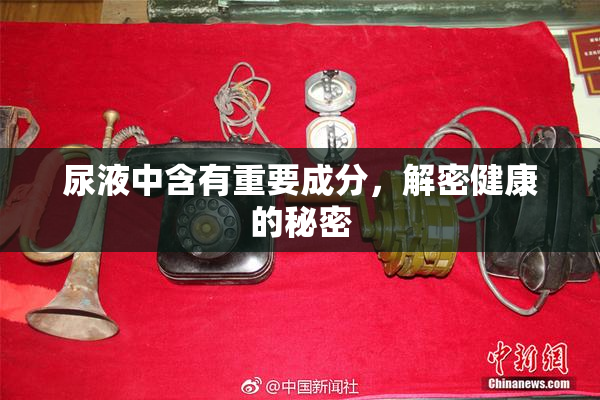 尿液中含有重要成分，解密健康的秘密