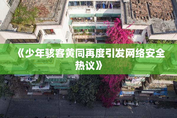 《少年骇客黄同再度引发网络安全热议》