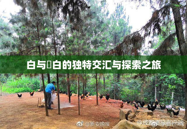 白与晄白的独特交汇与探索之旅