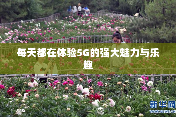 每天都在体验5G的强大魅力与乐趣