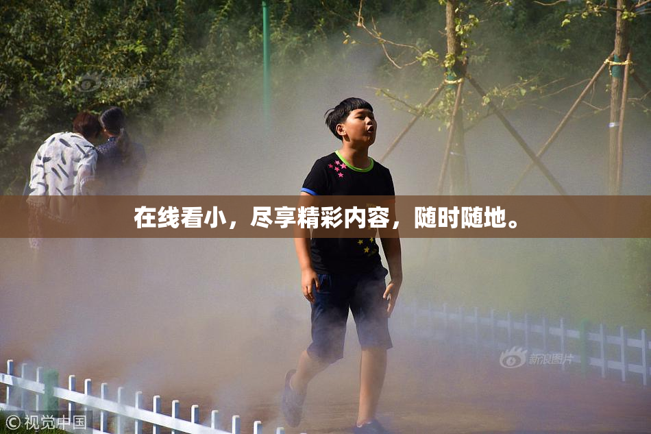 在线看小，尽享精彩内容，随时随地。