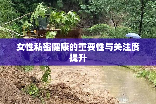 女性私密健康的重要性与关注度提升