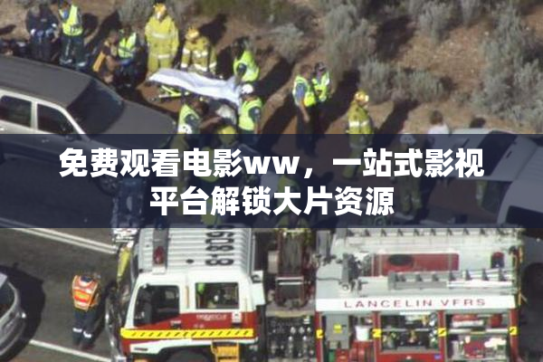 免费观看电影ww，一站式影视平台解锁大片资源